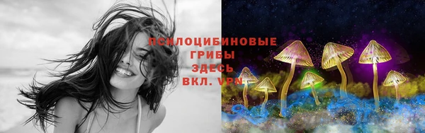 первитин Богородицк