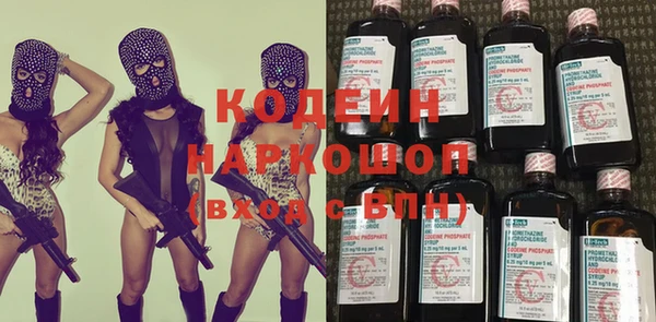 стаф Богданович