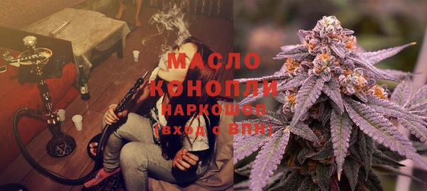 стаф Богданович