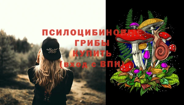бутират Богородск