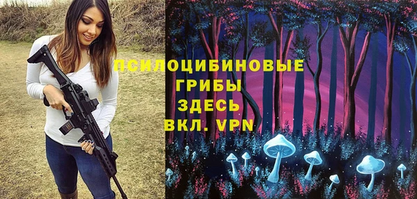 первитин Богородицк