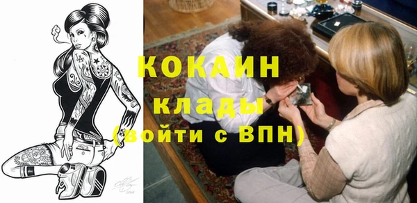 стаф Богданович