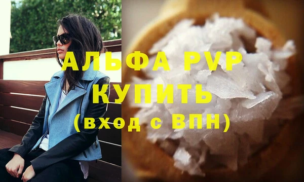стаф Богданович