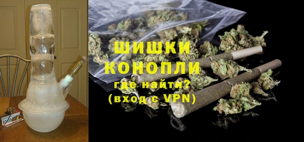 стаф Богданович