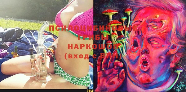 стаф Богданович