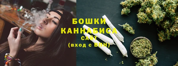 стаф Богданович