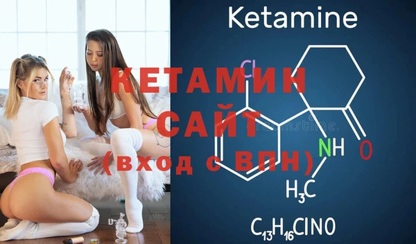 стаф Богданович